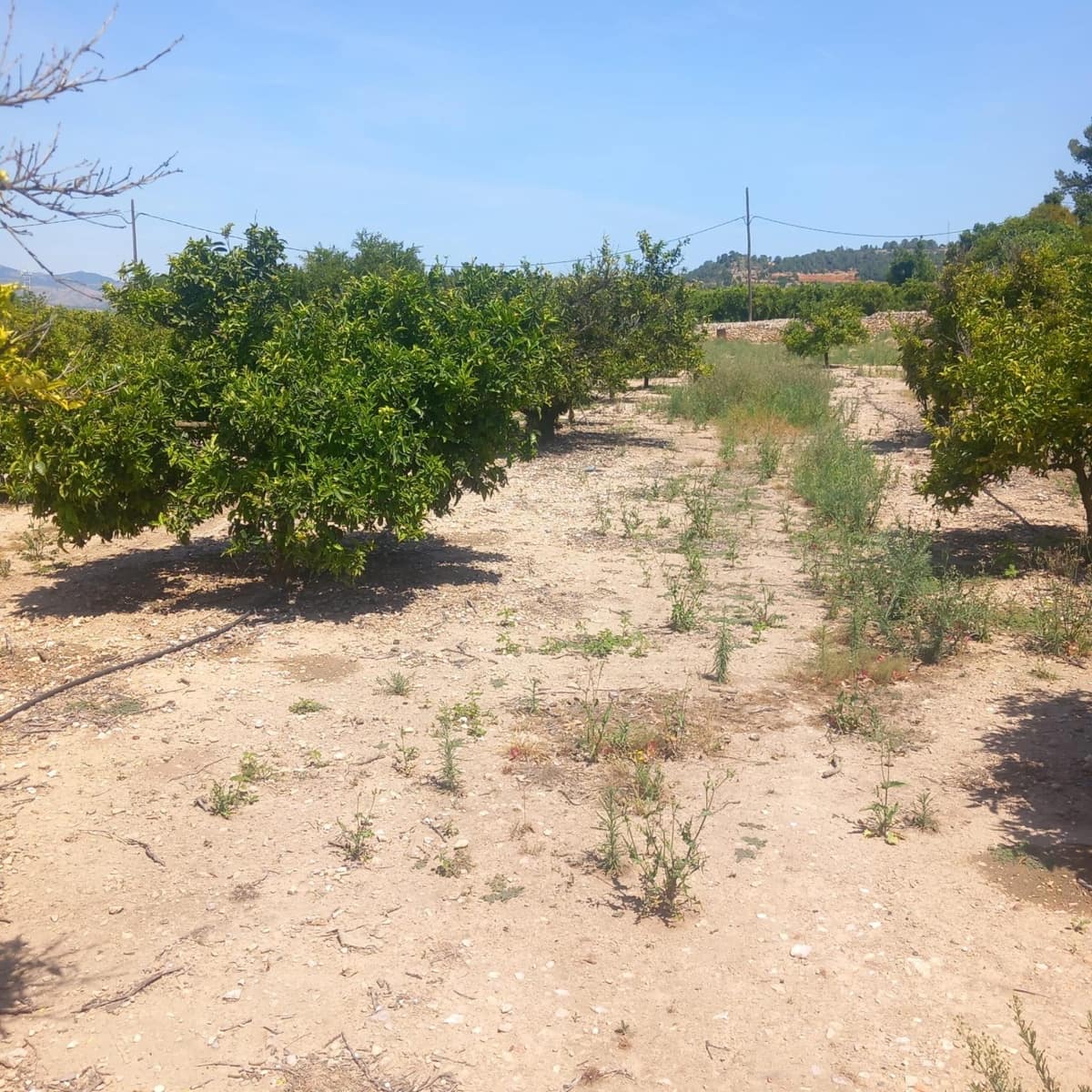 4 bedroom Finca/Country House for sale in Bitem - € 130,000 (Ref: 9865135)