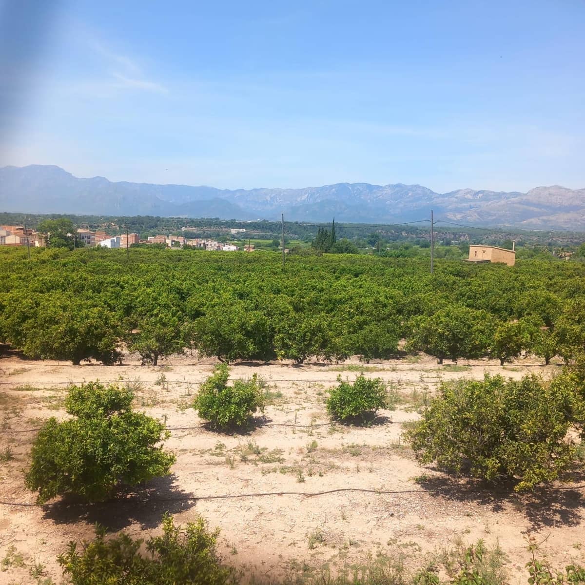 4 bedroom Finca/Country House for sale in Bitem - € 130,000 (Ref: 9865135)