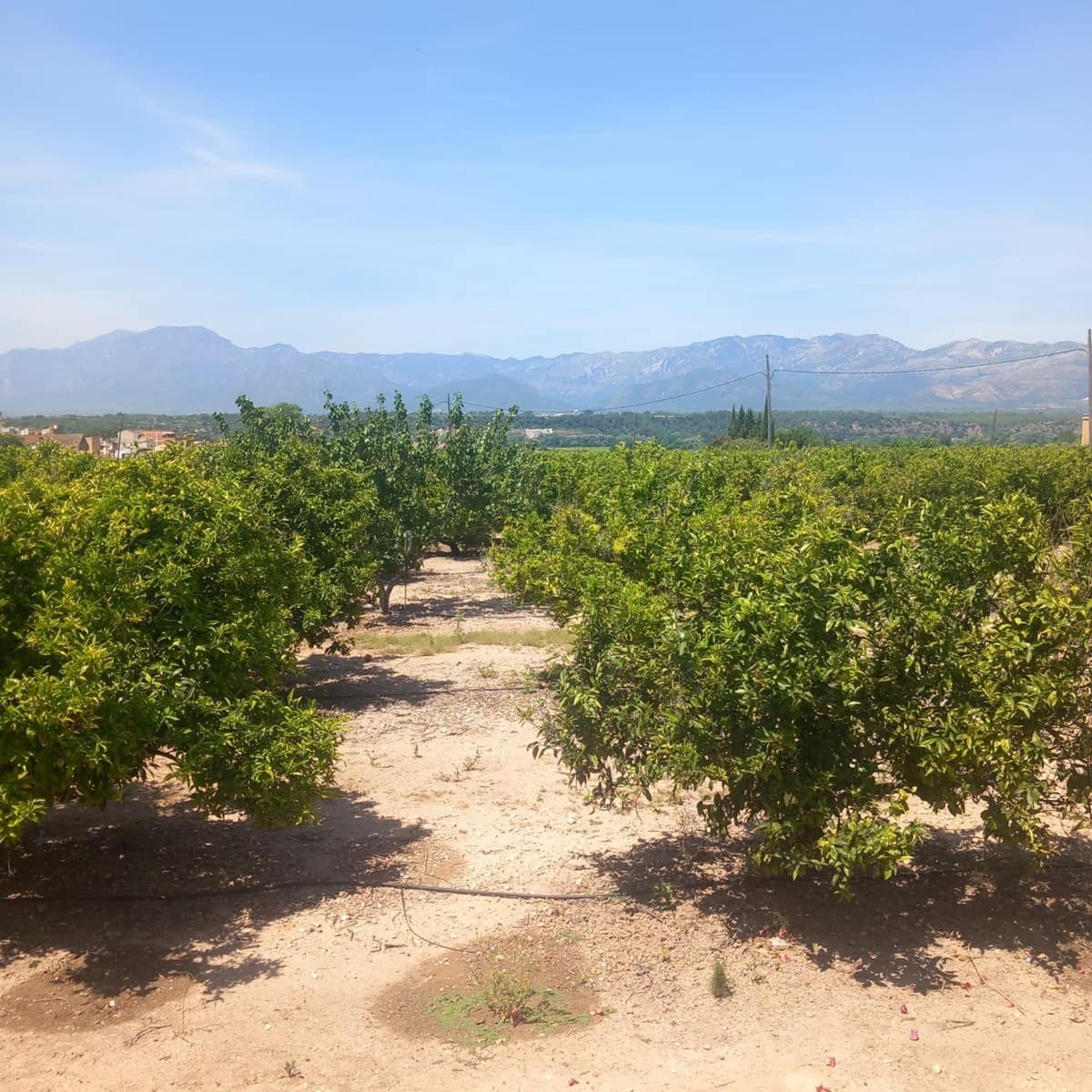 4 bedroom Finca/Country House for sale in Bitem - € 130,000 (Ref: 9865135)