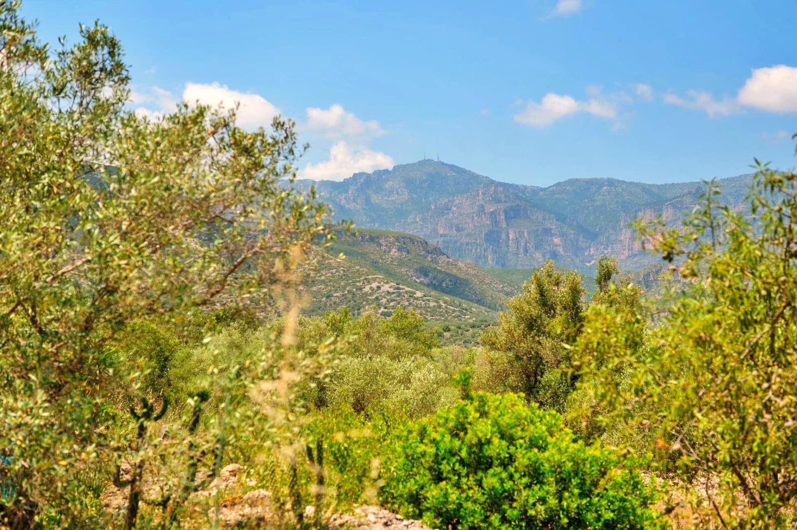 2 bedroom Villa for sale in Roquetes - € 110,000 (Ref: 9896274)