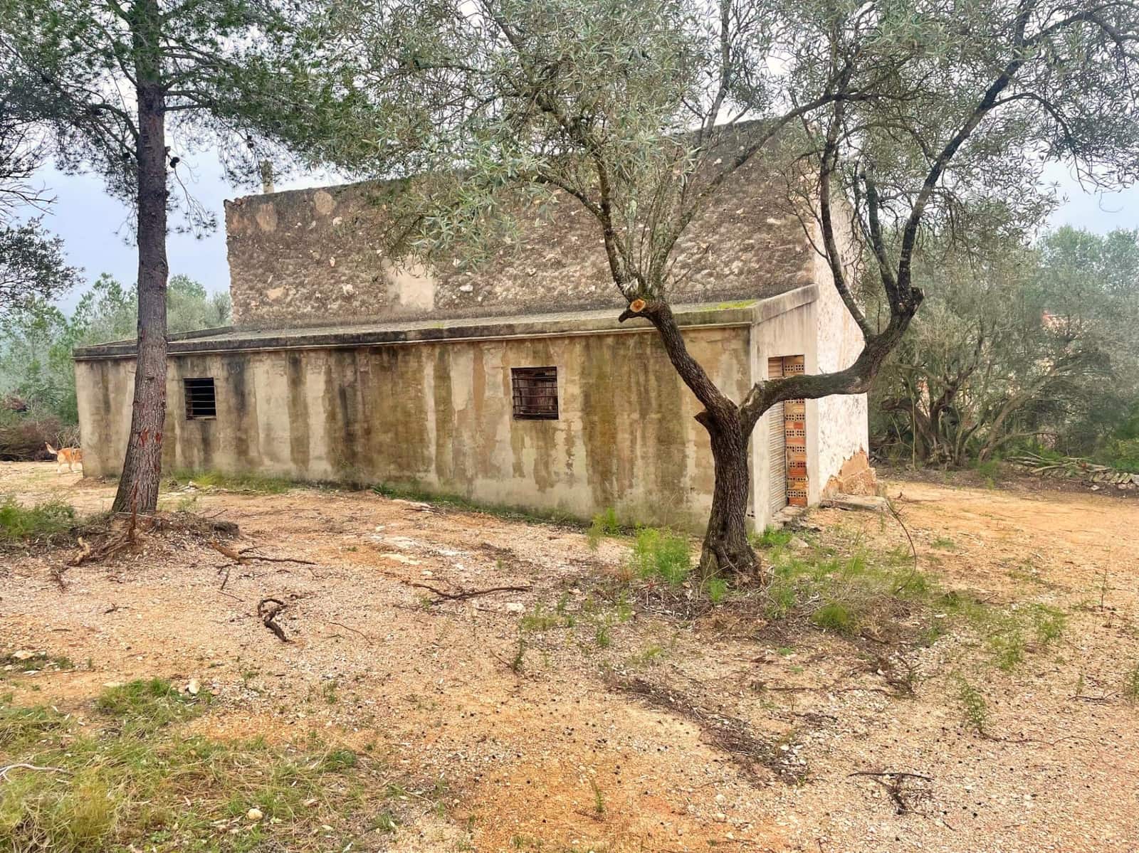 Villa zu verkaufen in Tortosa - 130.000 € (Ref: 9929332)