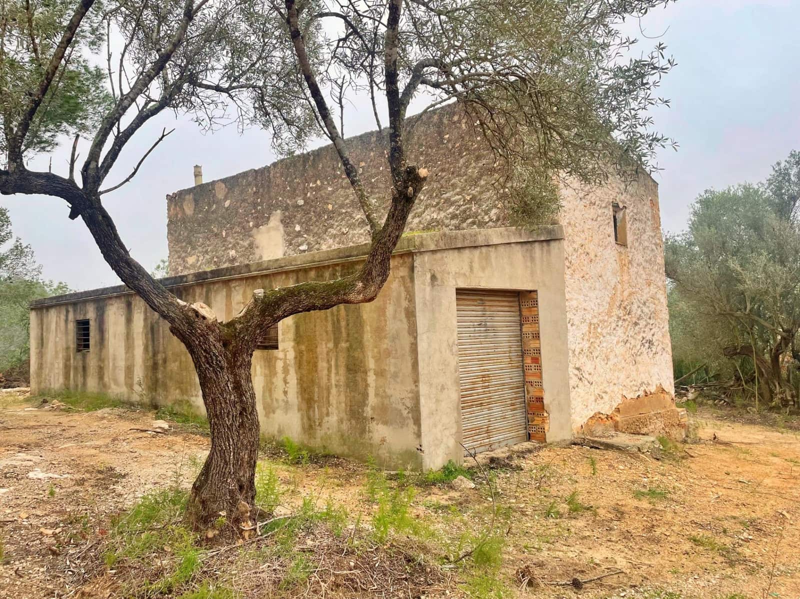 Villa zu verkaufen in Tortosa - 130.000 € (Ref: 9929332)