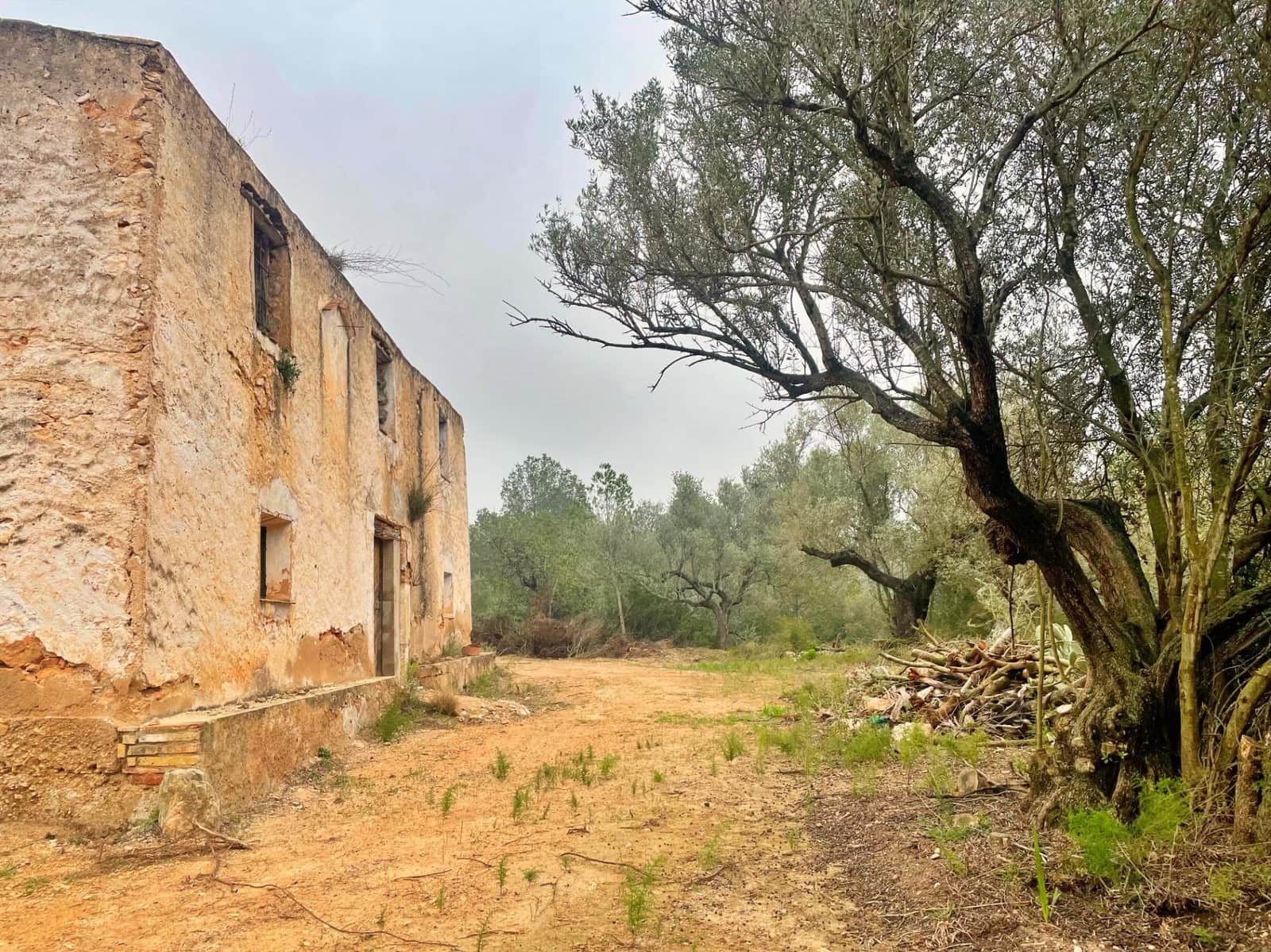 Villa zu verkaufen in Tortosa - 130.000 € (Ref: 9929332)
