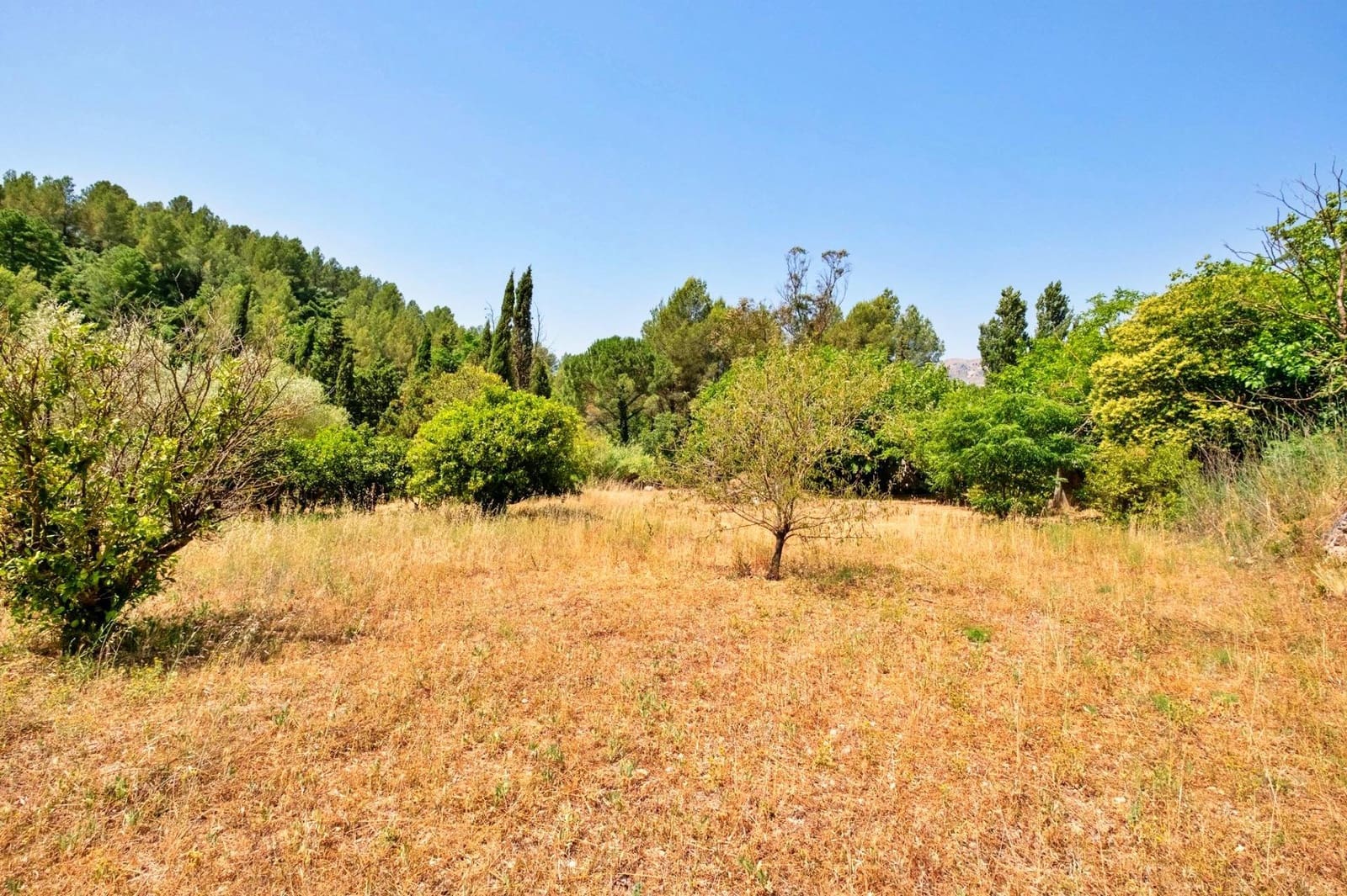 4 soverom Villa til salgs i Alfara de Carles - € 165 000 (Ref: 9936340)