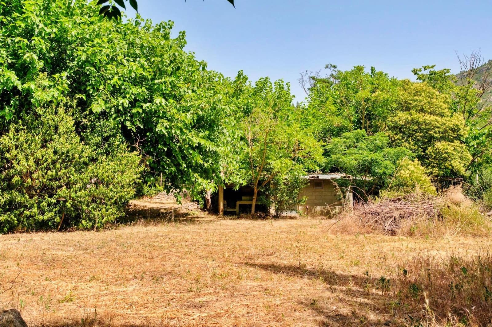 4 soverom Villa til salgs i Alfara de Carles - € 165 000 (Ref: 9936340)
