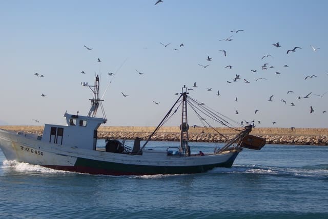 3 bedroom Villa for sale in Els Poblets with garage - € 415,000 (Ref: 8469018)