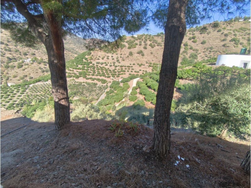 Terreno Non Edificato in vendita in Competa - 13.500 € (Rif: 10155228)