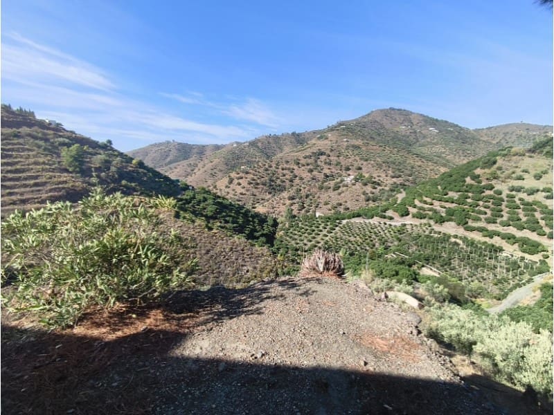 Terreno Non Edificato in vendita in Competa - 13.500 € (Rif: 10155228)