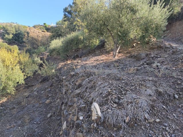 Terreno Non Edificato in vendita in Cómpeta - 13.500 € (Rif: 10155228)