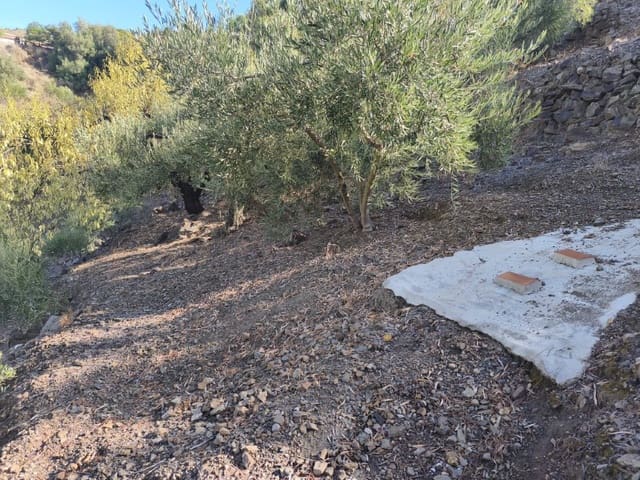 Terreno Non Edificato in vendita in Cómpeta - 13.500 € (Rif: 10155228)