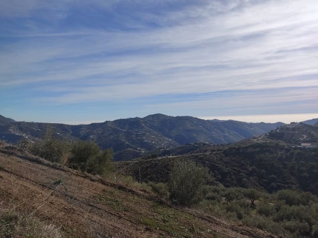 Teren niezagospodarowany na sprzedaż w Canillas de Albaida - 35 000 € (Ref: 7994914)