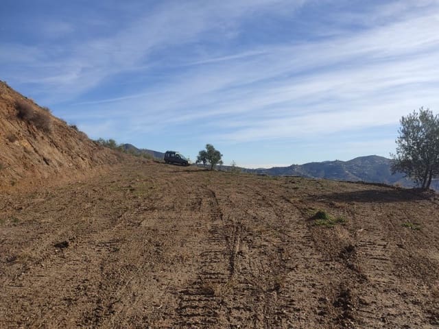 Teren niezagospodarowany na sprzedaż w Canillas de Albaida - 35 000 € (Ref: 7994914)