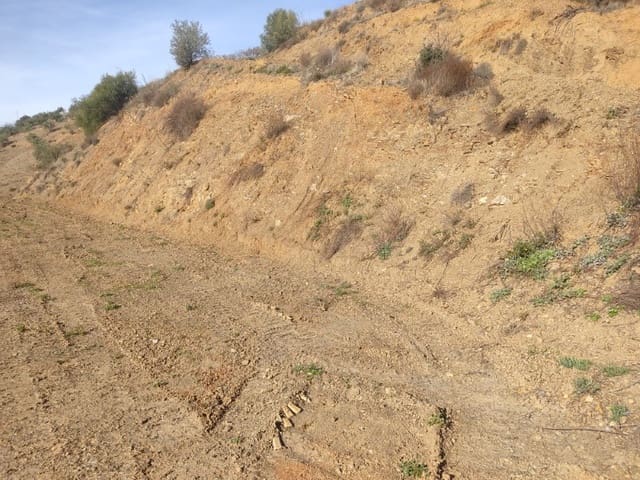 Teren niezagospodarowany na sprzedaż w Canillas de Albaida - 35 000 € (Ref: 7994914)