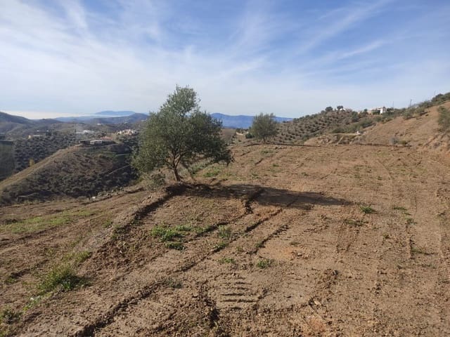 Teren niezagospodarowany na sprzedaż w Canillas de Albaida - 35 000 € (Ref: 7994914)