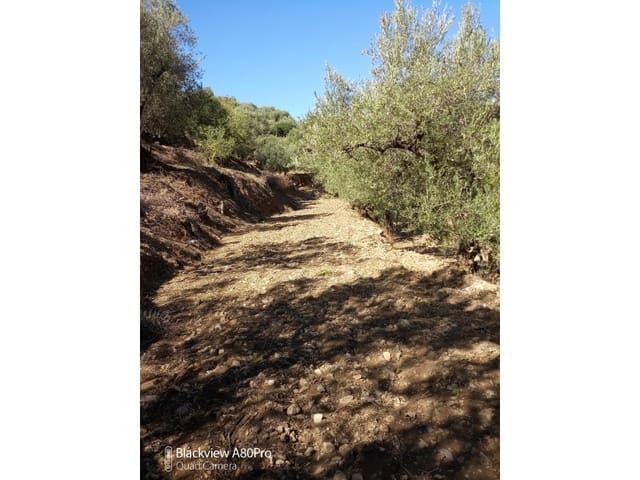 Terreno Non Edificato in vendita in Canillas de Albaida - 14.000 € (Rif: 8155361)