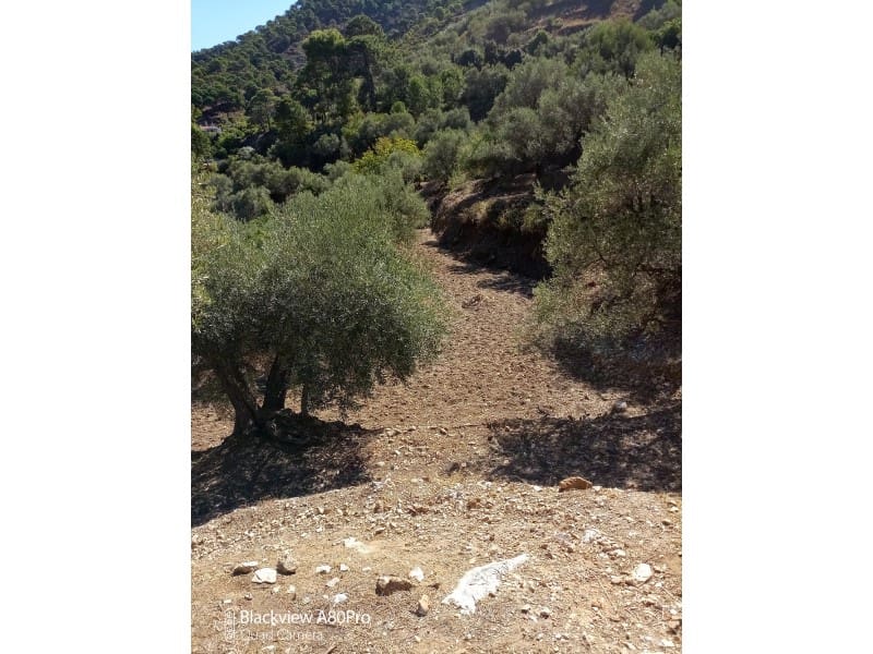 Rakentamaton maa myytävänä paikassa Canillas de Albaida - 14 000 € (Ref: 8155361)