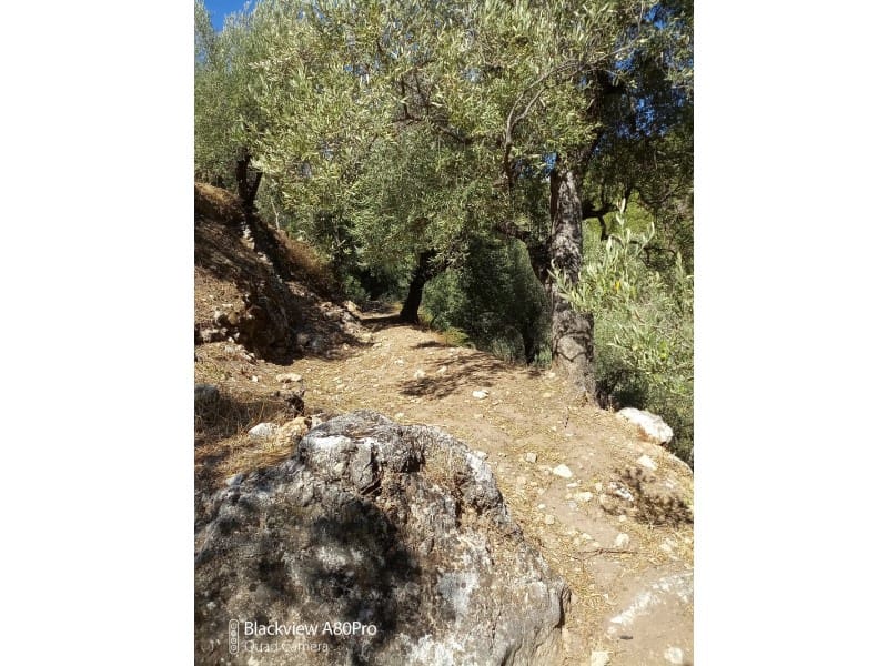 Rakentamaton maa myytävänä paikassa Canillas de Albaida - 14 000 € (Ref: 8155361)