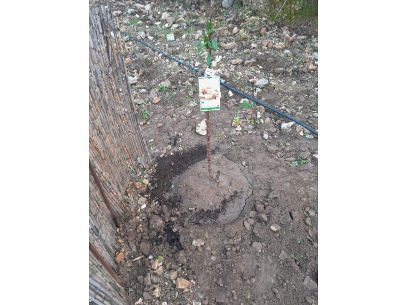 Rakentamaton maa myytävänä paikassa Canillas de Albaida - 14 000 € (Ref: 8155361)