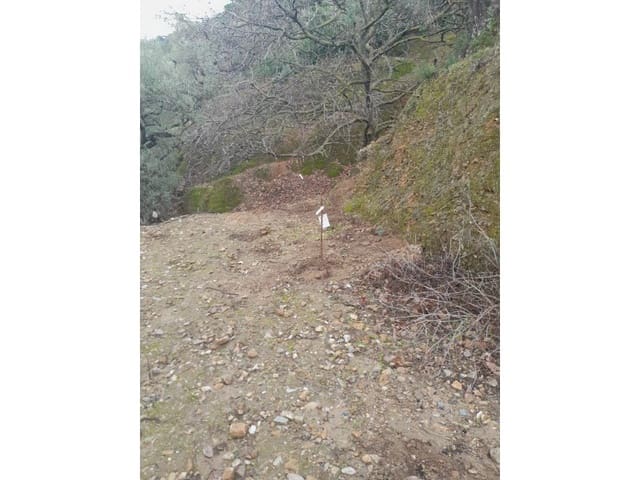 Terreno Non Edificato in vendita in Canillas de Albaida - 14.000 € (Rif: 8155361)