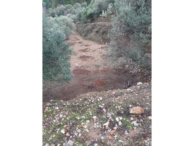 Terreno Non Edificato in vendita in Canillas de Albaida - 14.000 € (Rif: 8155361)