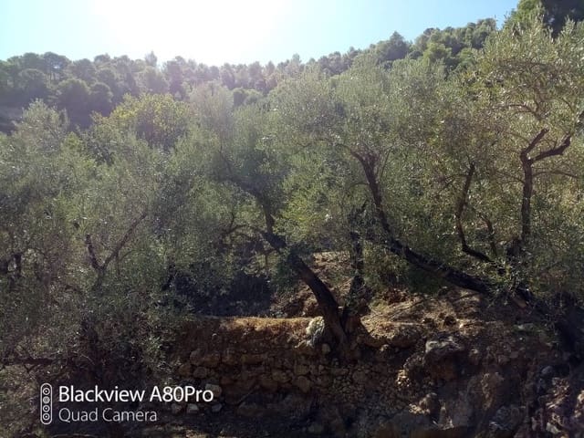 Terreno Non Edificato in vendita in Canillas de Albaida - 14.000 € (Rif: 8155361)