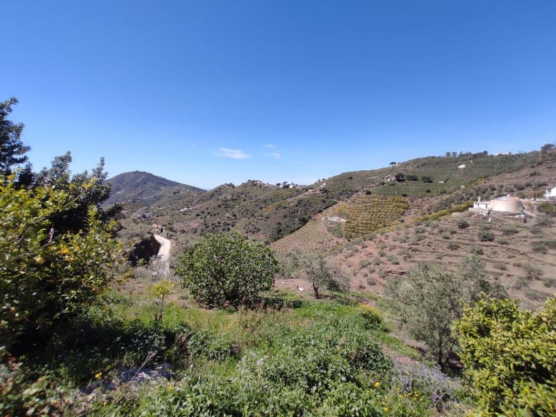 3 slaapkamer Finca/Landhuis te koop in Competa - € 259.000 (Ref: 8245033)