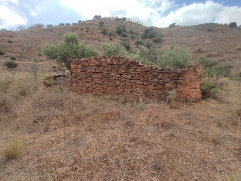 Undeveloped Land for sale in Sayalonga - € 68,500 (Ref: 8395349)