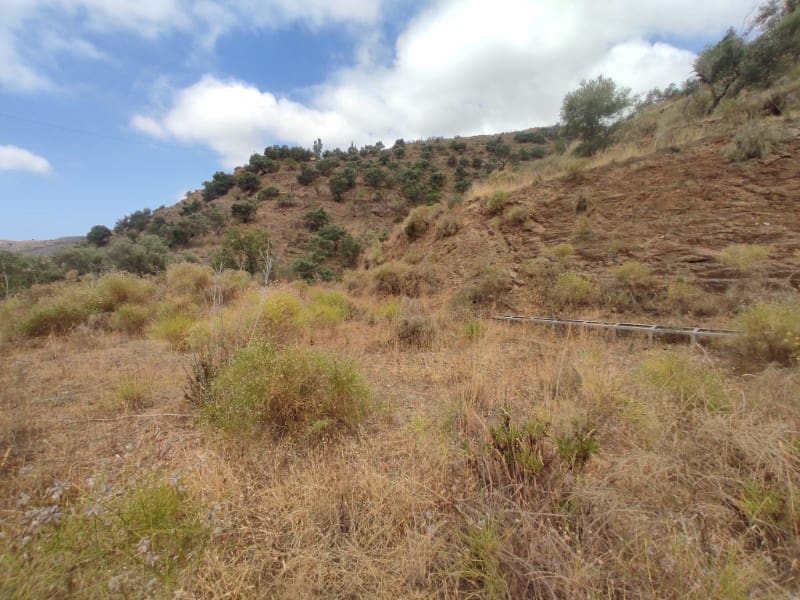 Undeveloped Land for sale in Sayalonga - € 68,500 (Ref: 8395349)