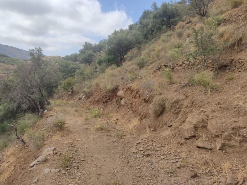 Undeveloped Land for sale in Sayalonga - € 68,500 (Ref: 8395349)