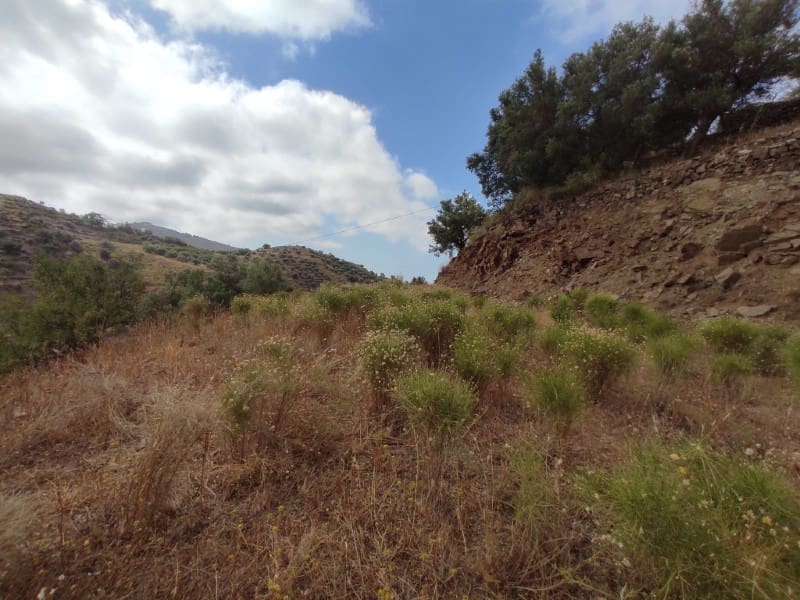 Undeveloped Land for sale in Sayalonga - € 68,500 (Ref: 8395349)
