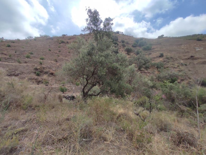 Undeveloped Land for sale in Sayalonga - € 68,500 (Ref: 8395349)