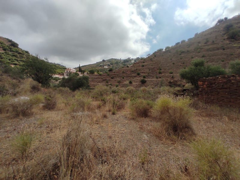 Undeveloped Land for sale in Sayalonga - € 68,500 (Ref: 8395349)