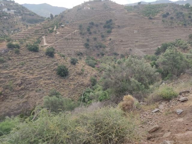 Grunde uden byggetilladelser til salg i Sayalonga - € 68.500 (Ref: 8395349)