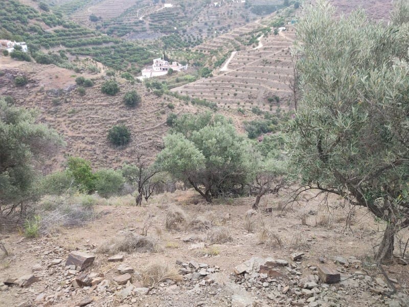 Undeveloped Land for sale in Sayalonga - € 68,500 (Ref: 8395349)