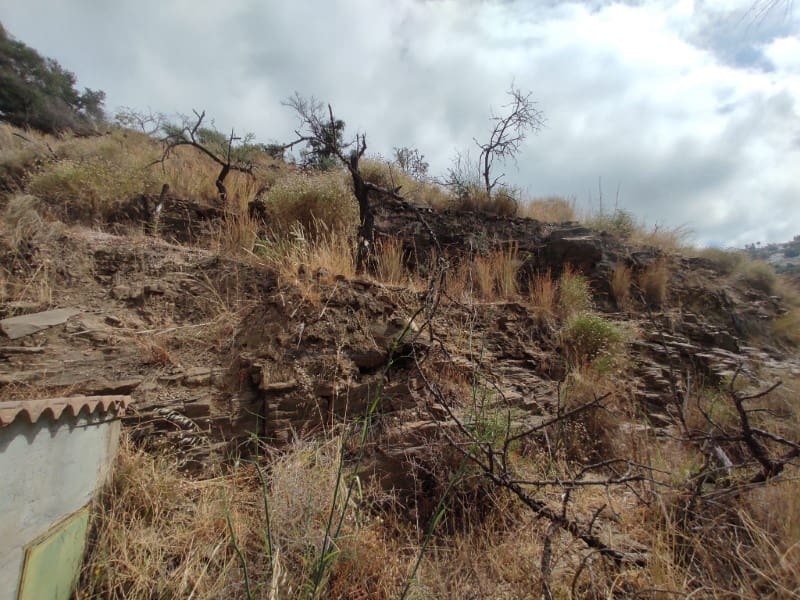 Undeveloped Land for sale in Sayalonga - € 68,500 (Ref: 8395349)