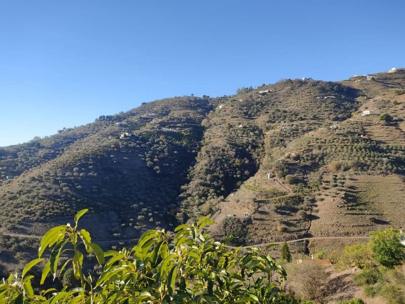 3 soveværelse Finca/Landehus til salg i Competa - € 400.000 (Ref: 8395350)