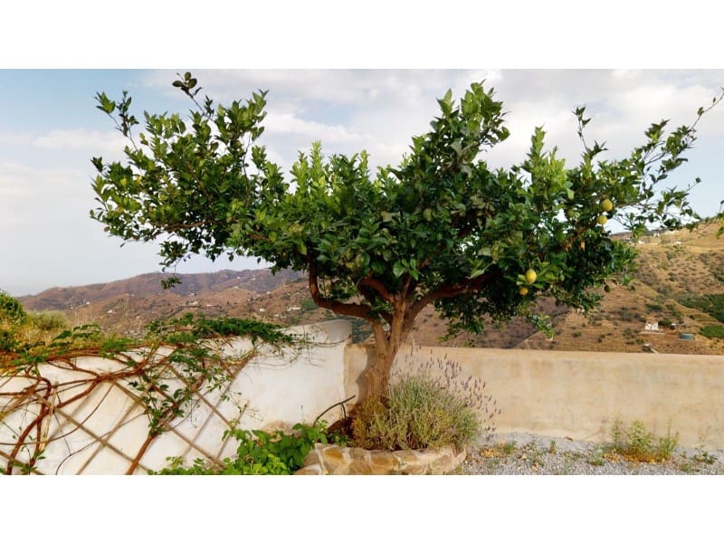 3 soverom Finca/Herregård til salgs i Competa - € 360 000 (Ref: 8440780)