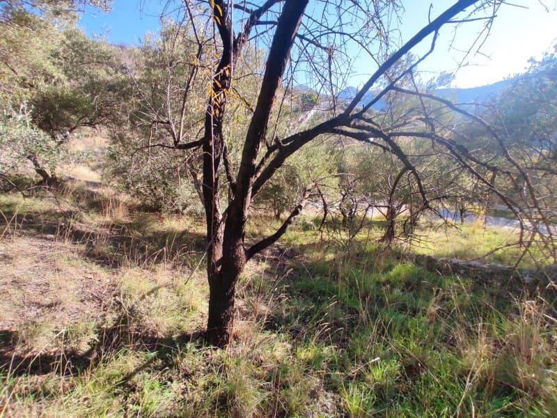 3 bedroom Finca/Country House for sale in Archez - € 84,000 (Ref: 8638923)