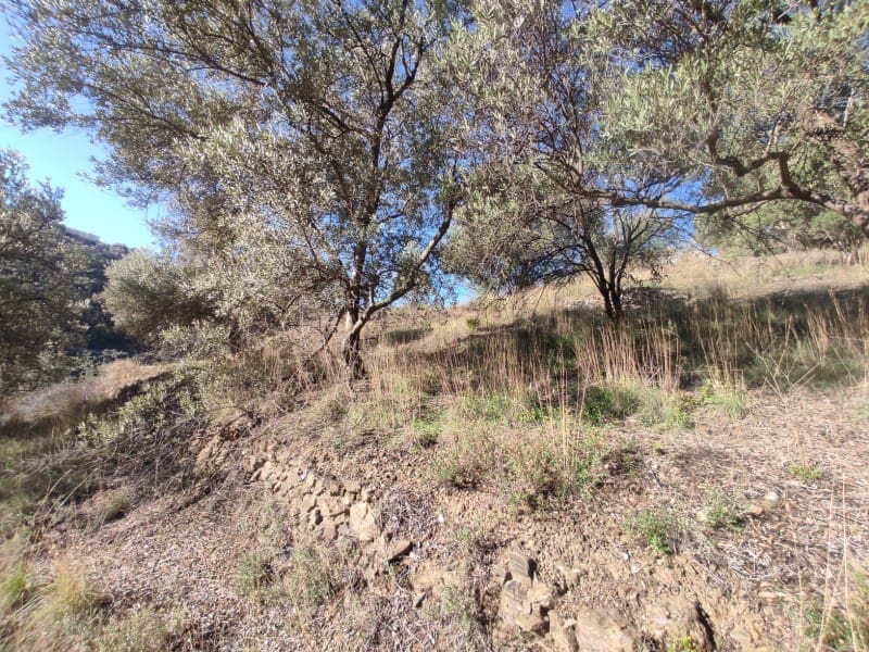 3 bedroom Finca/Country House for sale in Archez - € 84,000 (Ref: 8638923)