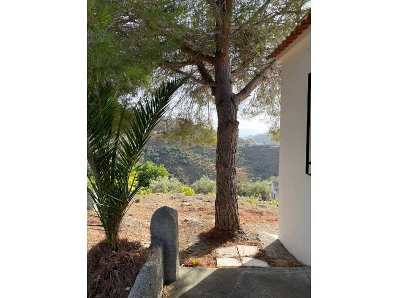 1 bedroom Finca/Country House for rent in Competa - € 500 (Ref: 9291488)