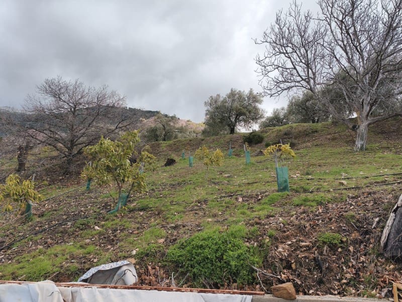 3 bedroom Finca/Country House for sale in Canillas de Albaida - € 286,000 (Ref: 9634570)