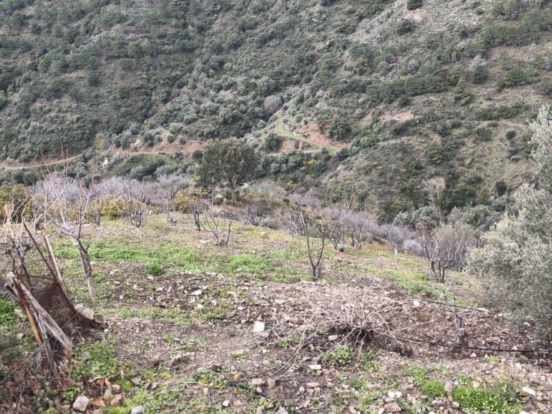 3 bedroom Finca/Country House for sale in Canillas de Albaida - € 286,000 (Ref: 9634570)