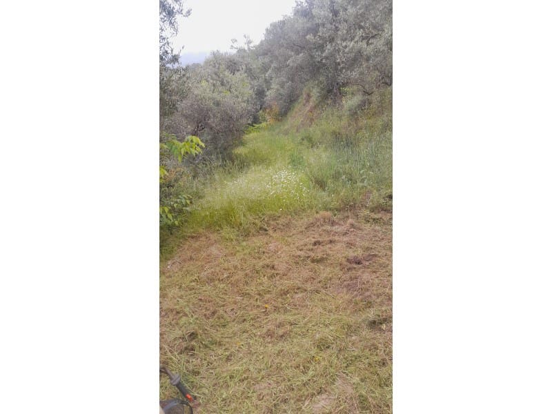 Mark till salu i Canillas de Albaida - 5 500 € (Ref: 9881876)