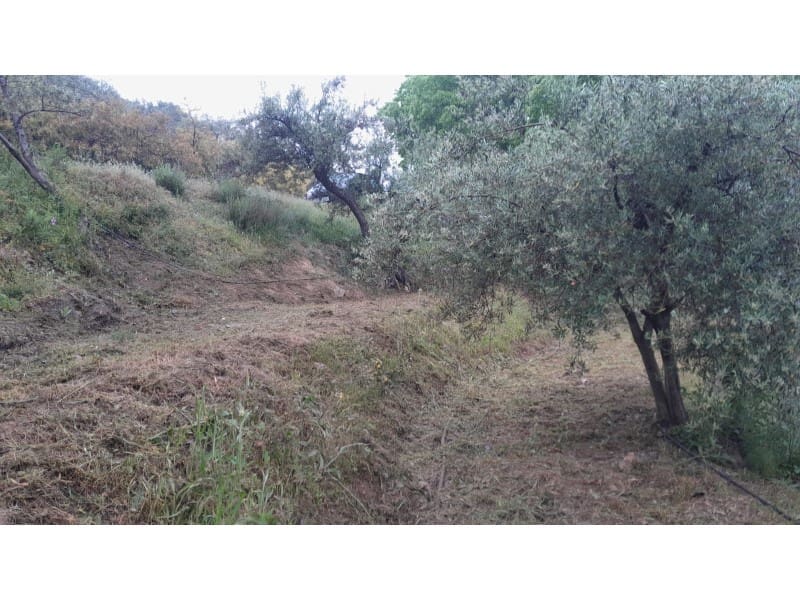 Mark till salu i Canillas de Albaida - 5 500 € (Ref: 9881876)