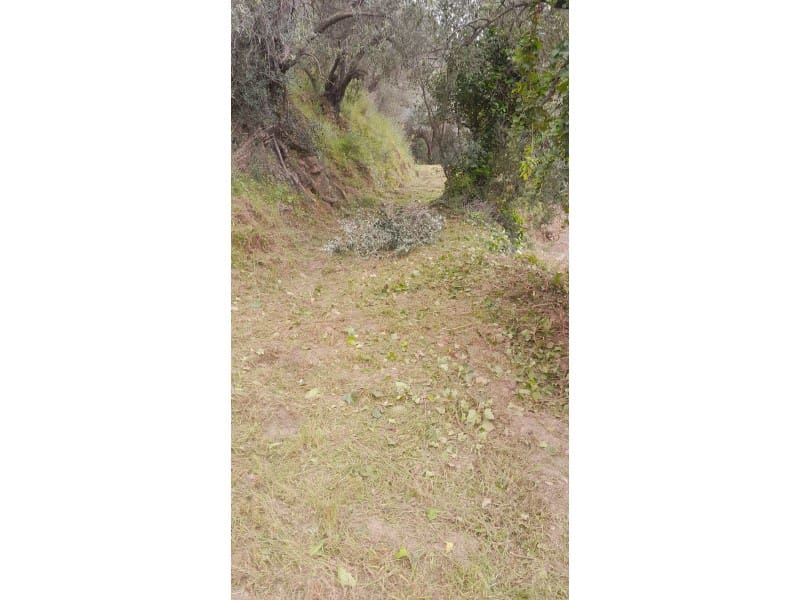 Mark till salu i Canillas de Albaida - 5 500 € (Ref: 9881876)