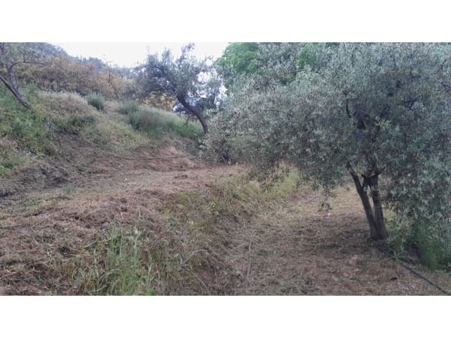 Mark till salu i Canillas de Albaida - 5 500 € (Ref: 9881876)
