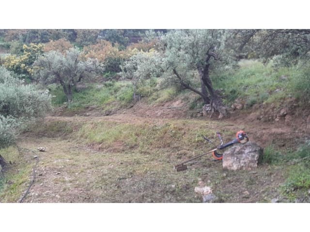 Mark till salu i Canillas de Albaida - 5 500 € (Ref: 9881876)