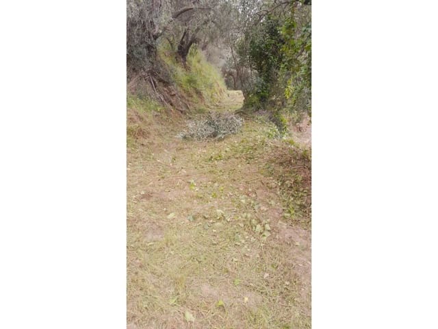 Mark till salu i Canillas de Albaida - 5 500 € (Ref: 9881876)