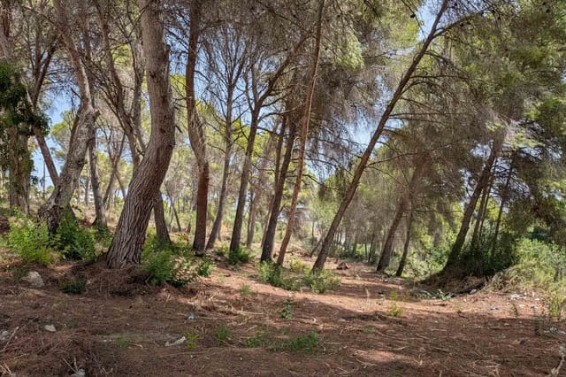 Solar/Parcela en Moraira, Teulada-Moraira en venta - 910.000 € (Ref: 10059626)