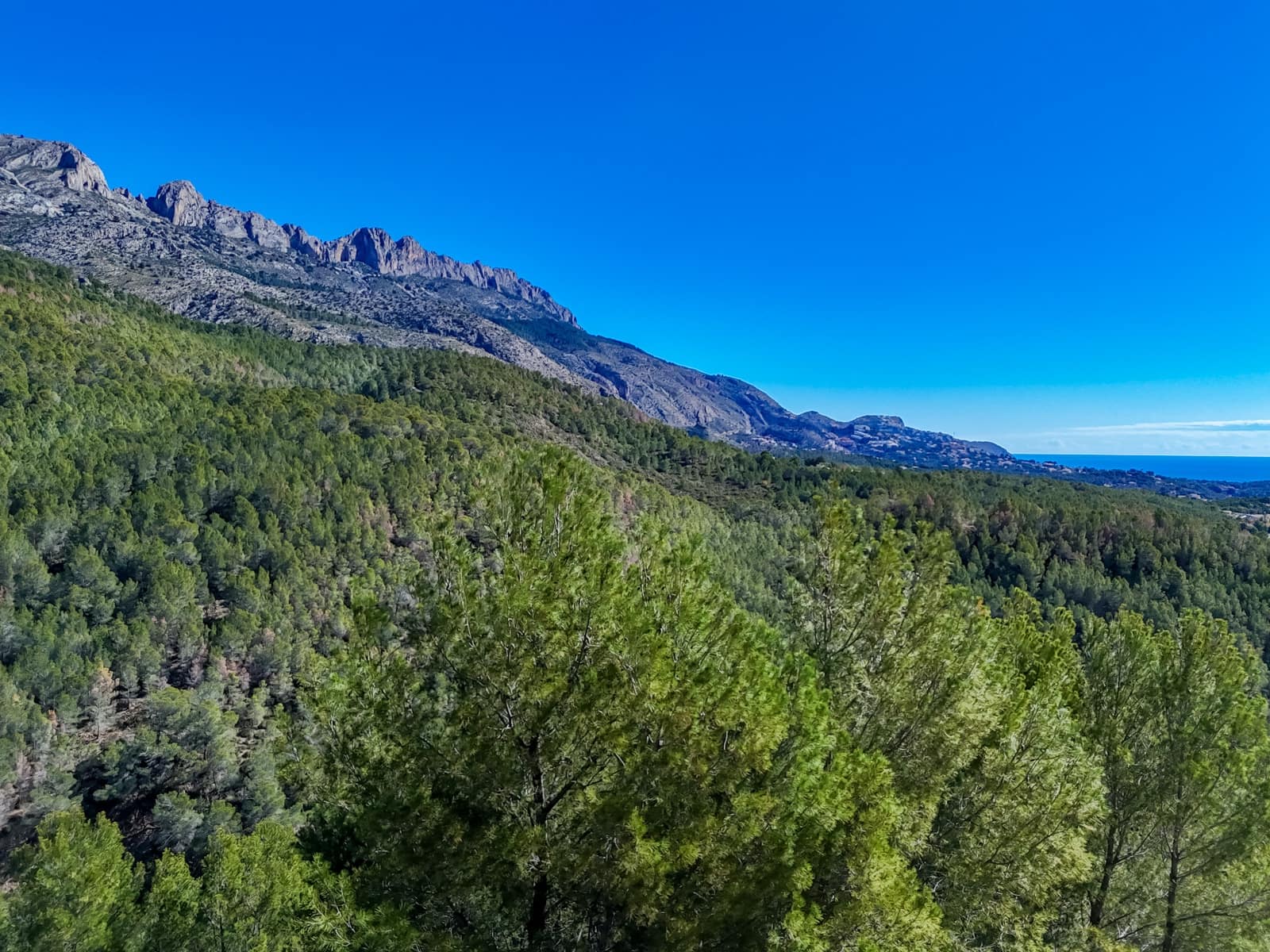 Terrain à Bâtir à vendre à Altea - 199 000 € (Ref: 10059637)